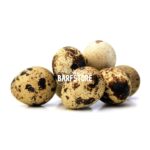 Fürjtojás 12db (Hartai Fürjtanya)