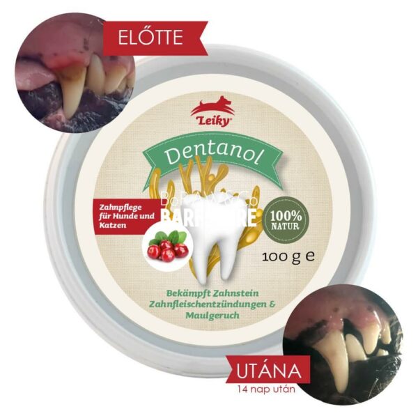 Dentanol 100% természetes fogkő, fogínygyulladás és szájszag elleni por kutyáknak és macskáknak, 100g (Leiky) - Image 1