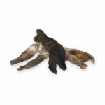 Szárított szőrös nyúlfül (BoRAW & Co BARFSTORE)