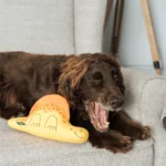 Állatfigura, Daisy a Dimetrodon "M" (BecoPets) - Image 2